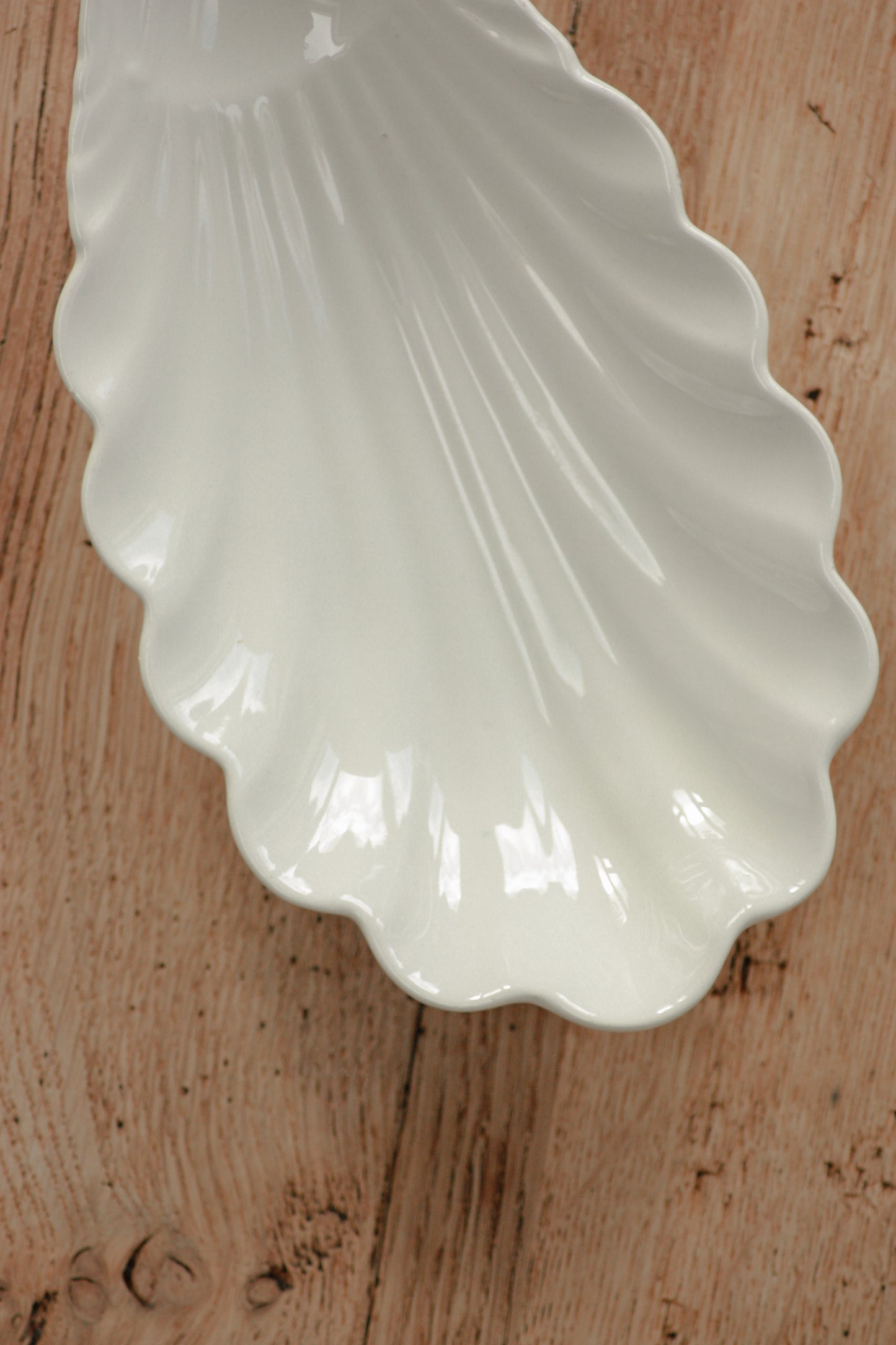 Vintage scalloped shell dish