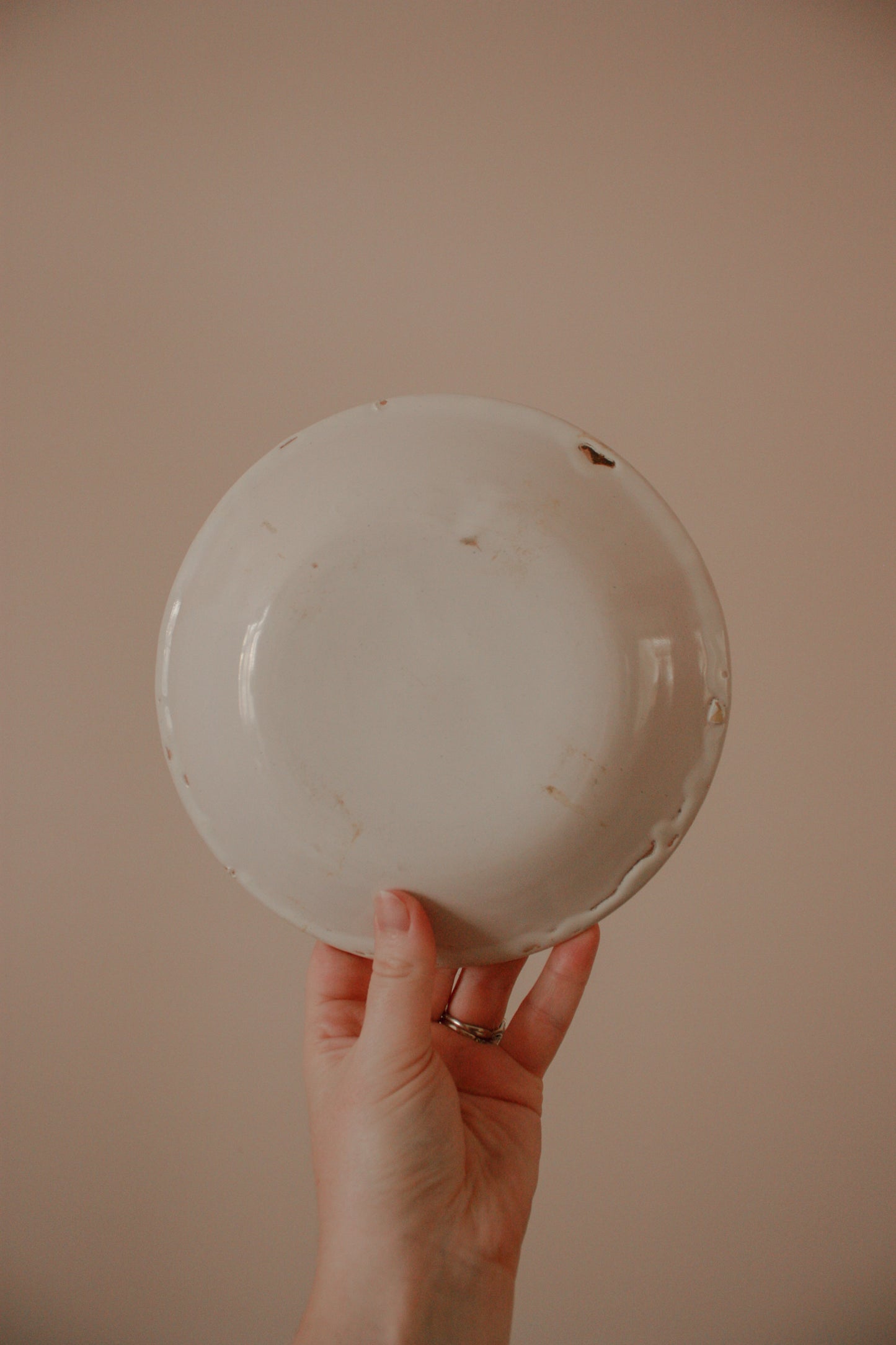 Vintage French faience plate