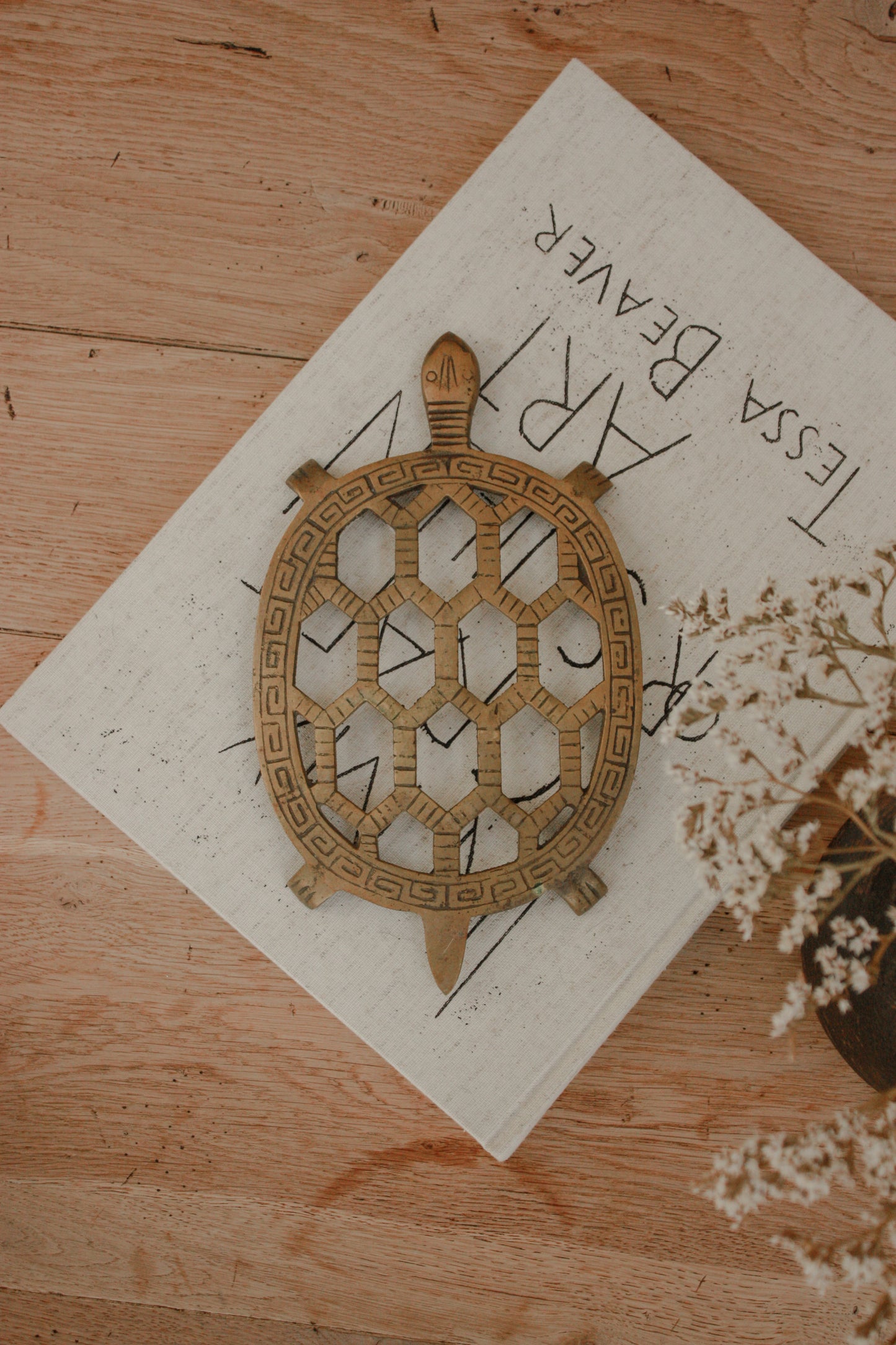 Vintage brass turtle trivet