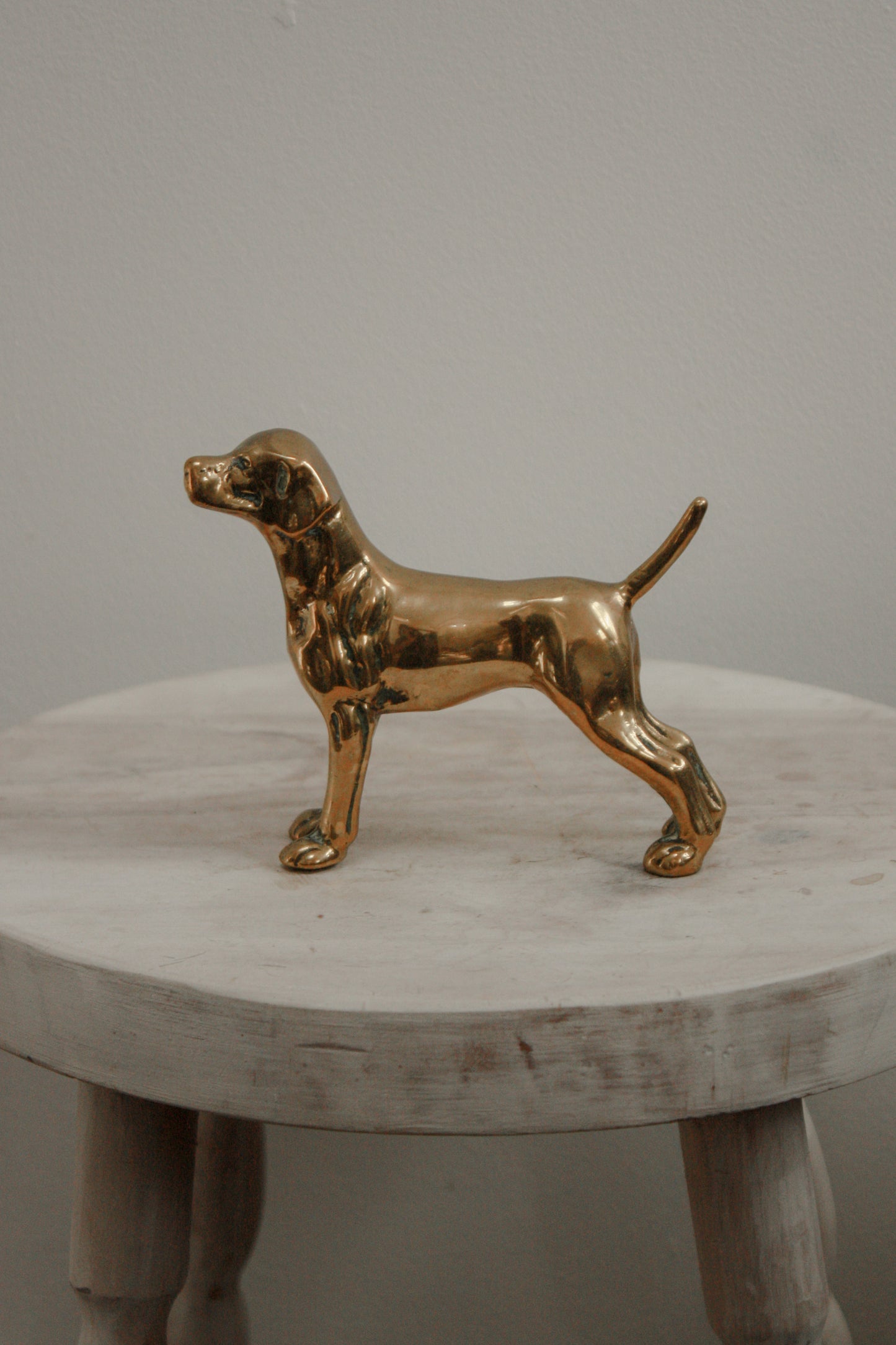 Vintage brass pointer dog