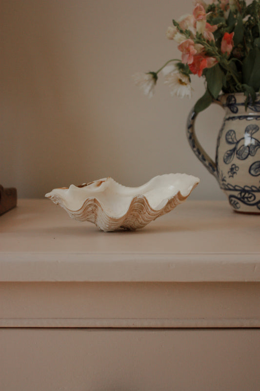 Small clam shell