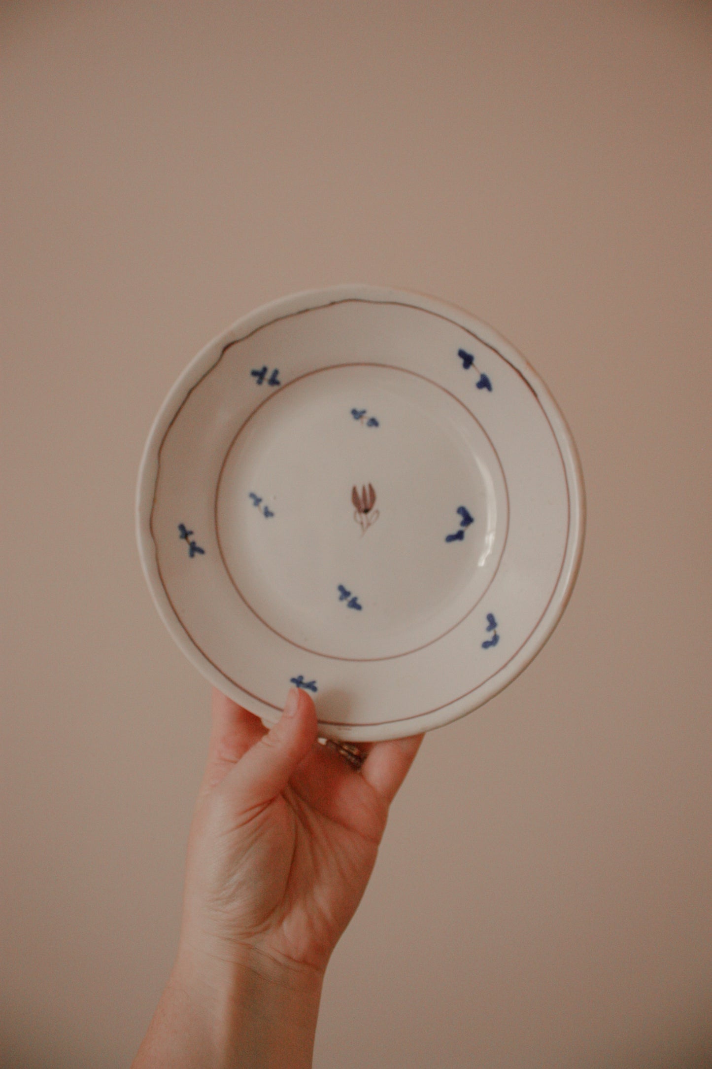 Vintage French faience plate