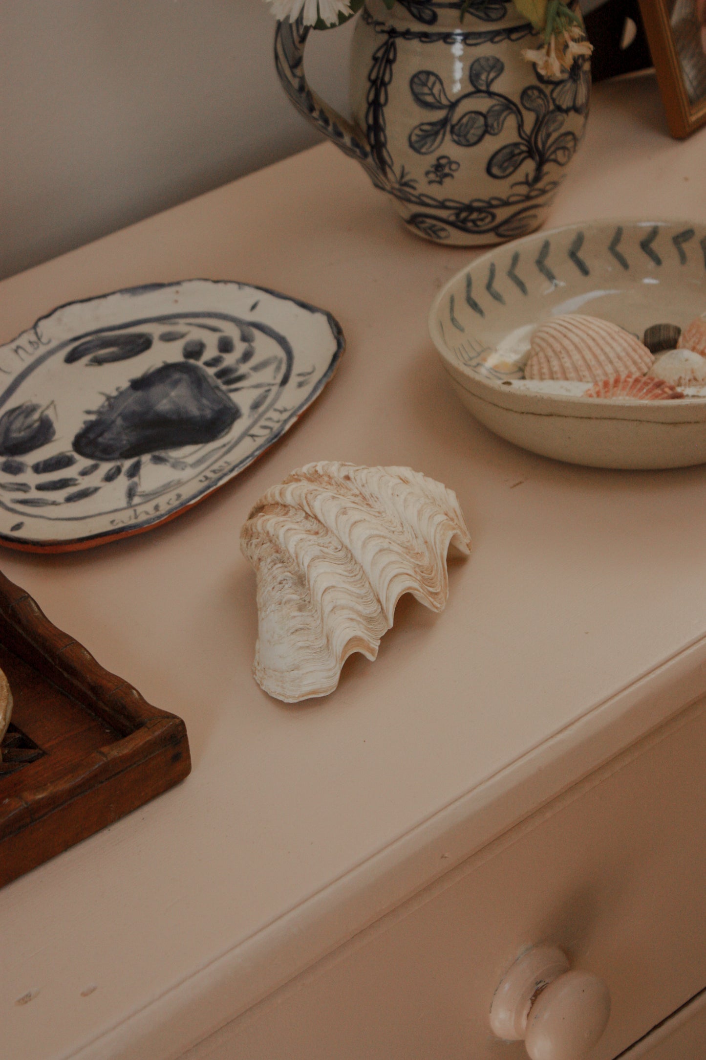 Small clam shell